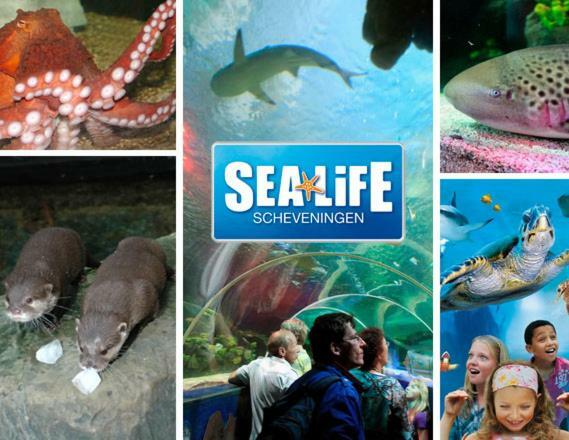 Kijkduinvilla Den Haag